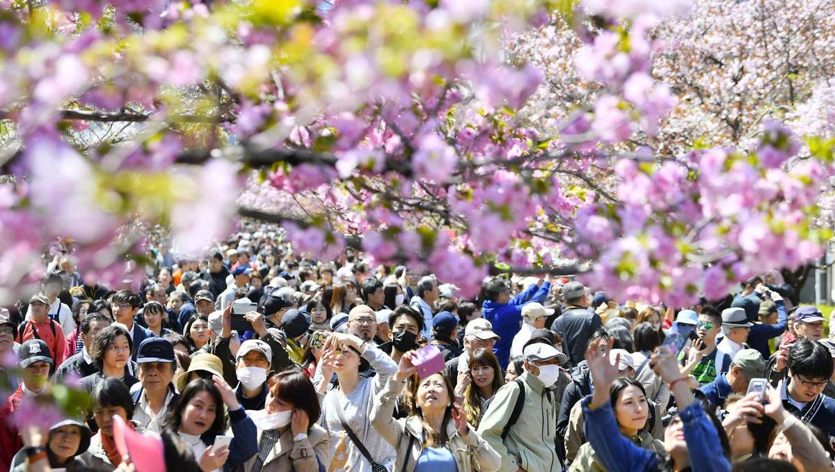 Japan kündigt Maßnahmen gegen Bevölkerungsrückgang an
