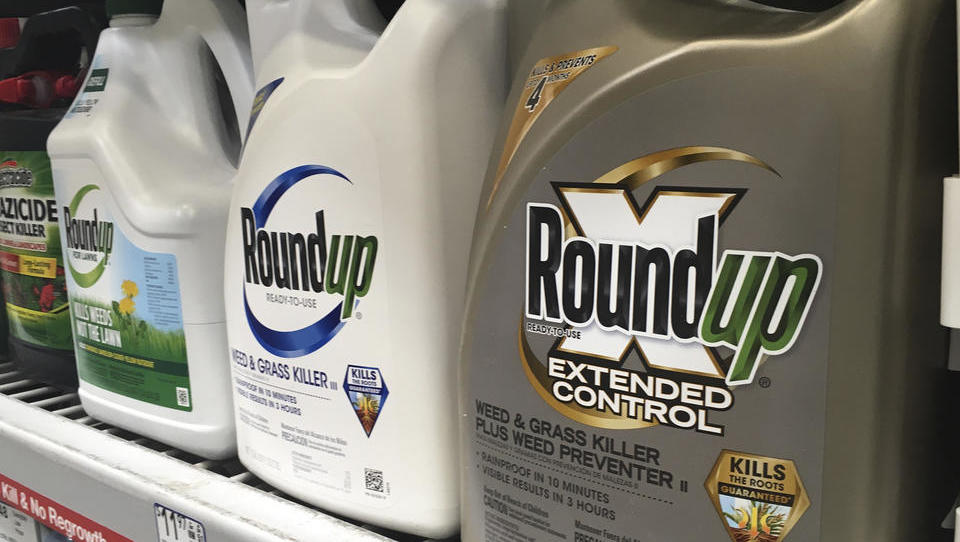 Wegen Krebserkrankungen: Weitere Niederlage für Bayer in US-Rechtsstreit um Glyphosat