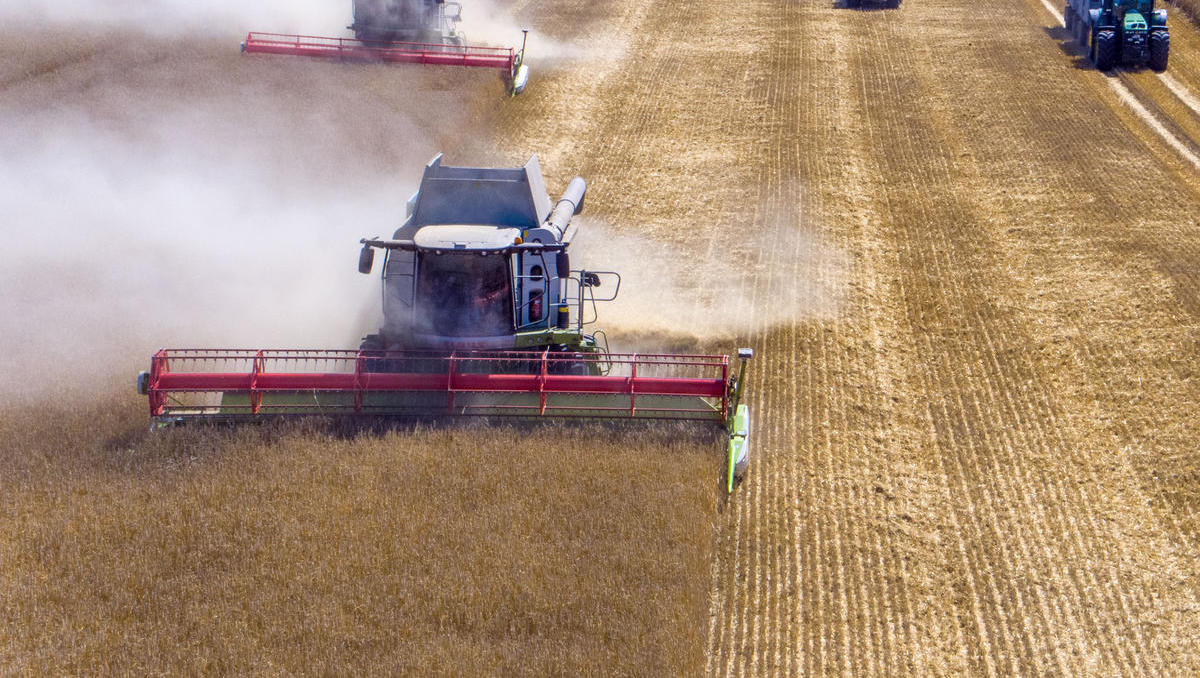 Krieg in der Ukraine wird Weizenkrise in Europa auslösen