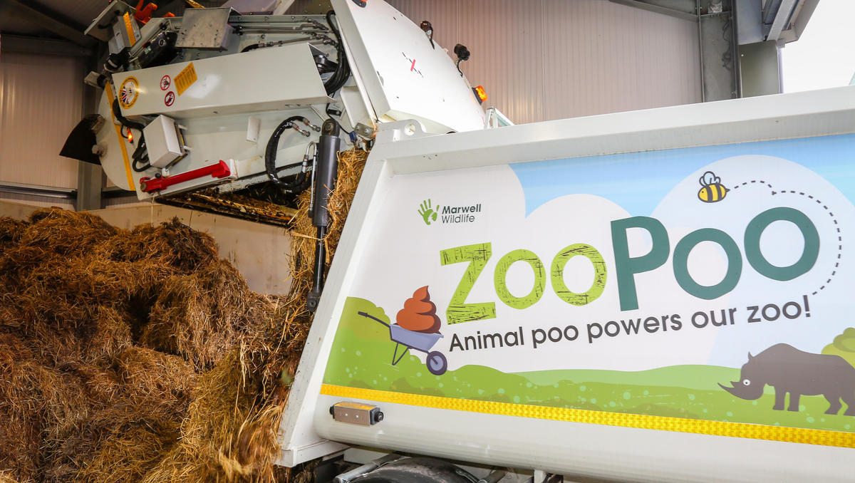 Englischer Zoo nutzt Tierfäkalien für Heizung