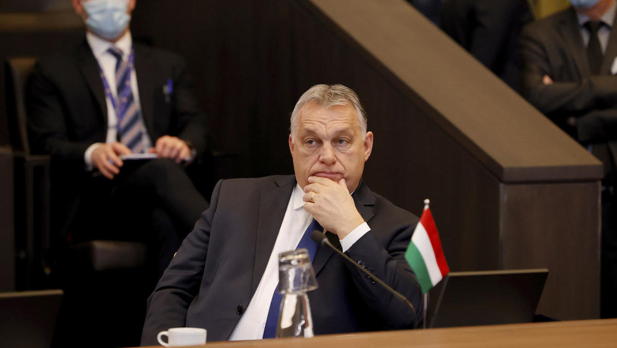 Ungarn verhängt Export-Verbot für Getreide: Vorbereitung auf europäische Nahrungsmittelkrise