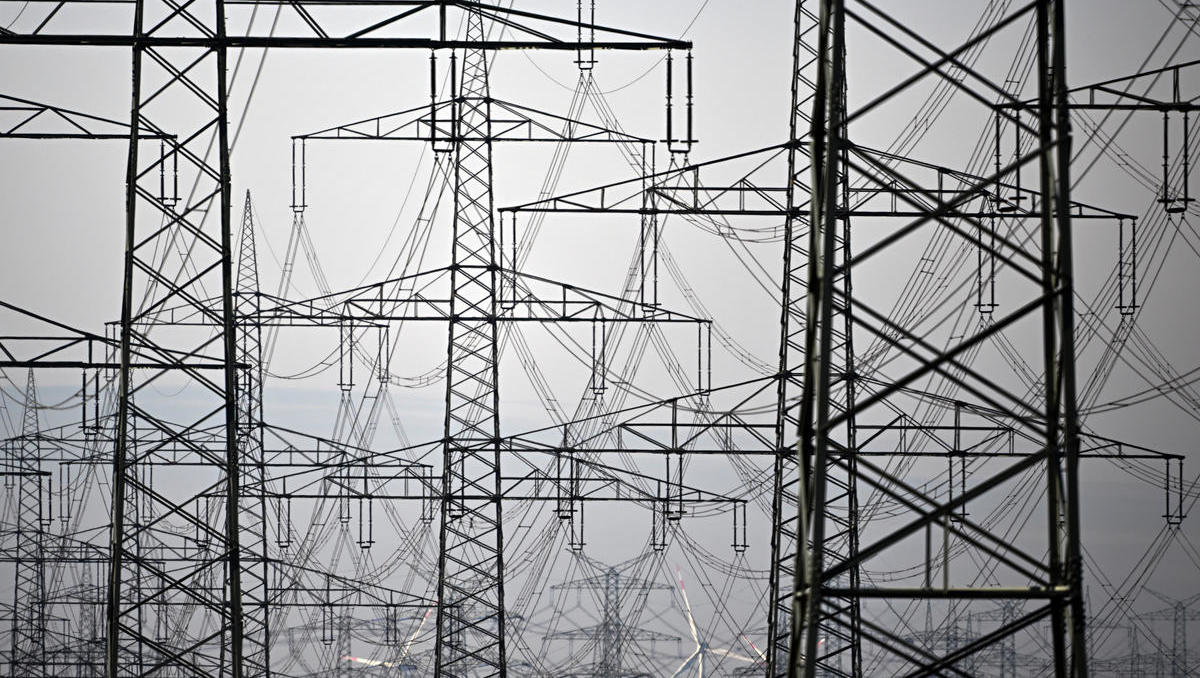 Deutscher Strommarkt: „Die Energieversorger verdienen sich dumm und dämlich“