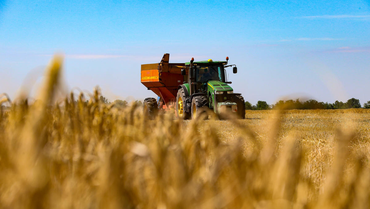 Mangelhafte Infrastruktur in Mitteleuropa hemmt Ukraines Getreideexporte