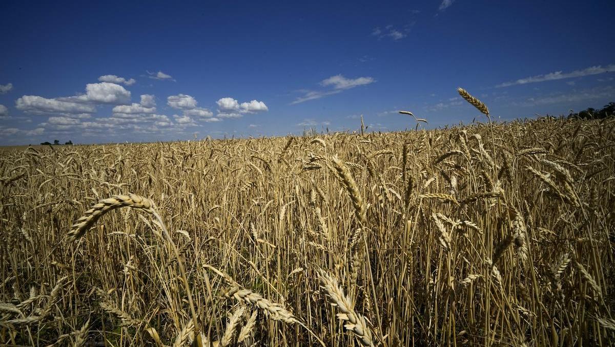 Erster Durchbruch im Streit um Getreideexporte aus der Ukraine