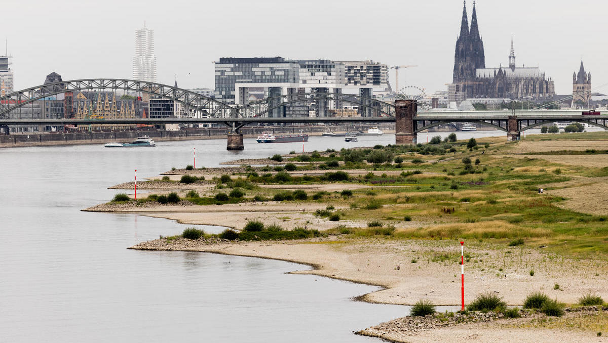 Niedrigwasser am Rhein bedroht massiv Deutschlands Energieversorgung