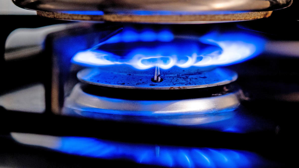 Insider: Bundesregierung muss Gaskonzern VNG stützen