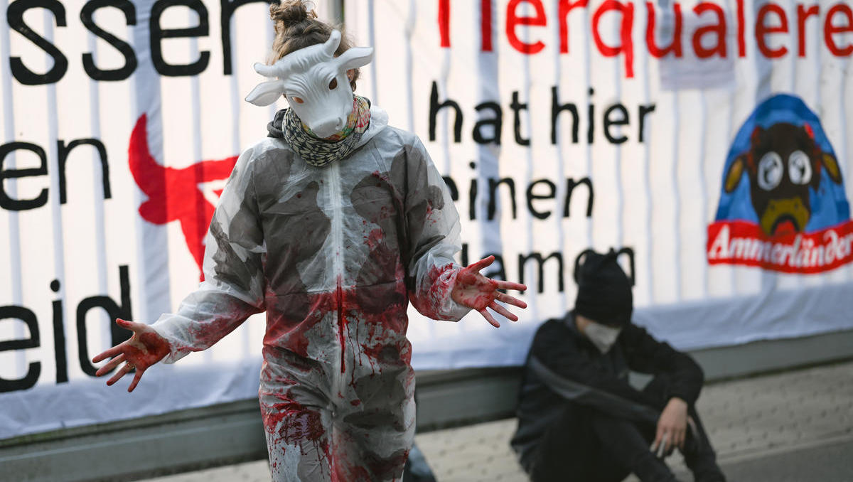 Niedersachsen: Proteste gegen die Tierindustrie