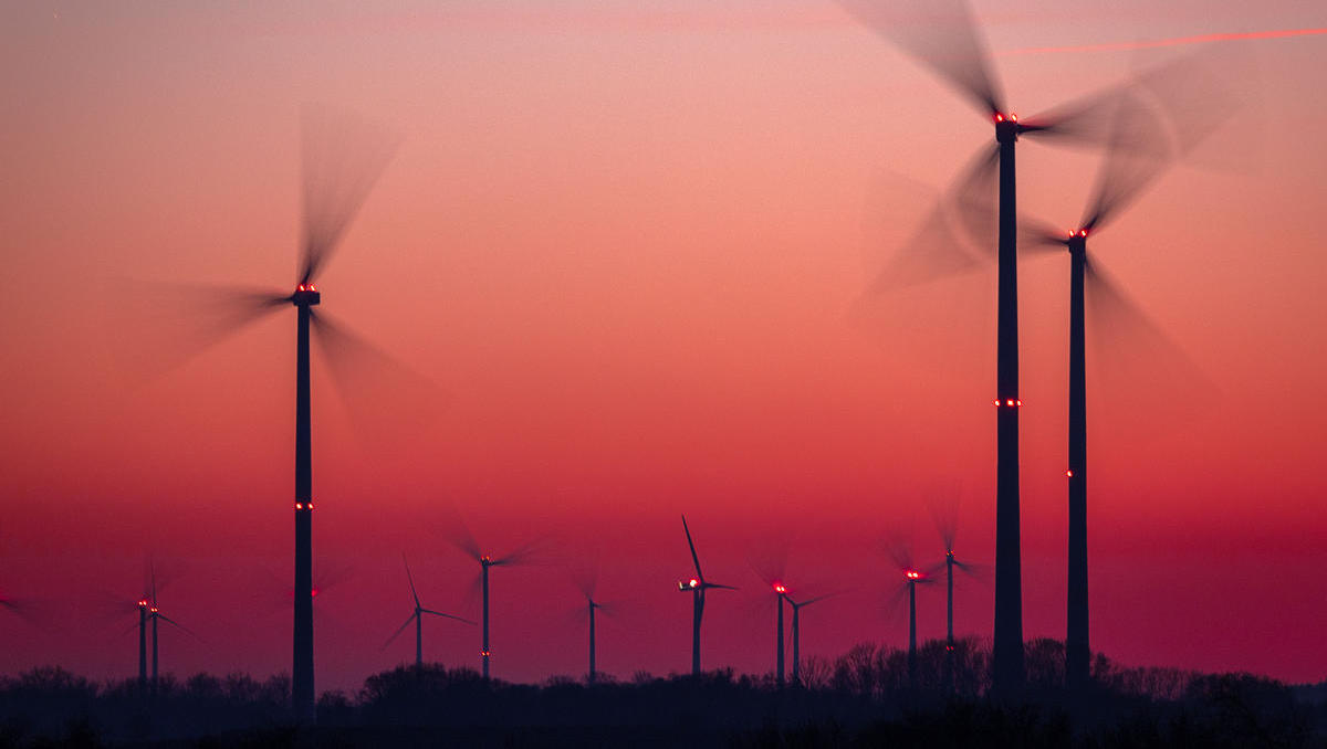 Ausbau der Windkraft – Abbau von Schutzrechten für Mensch und Tier