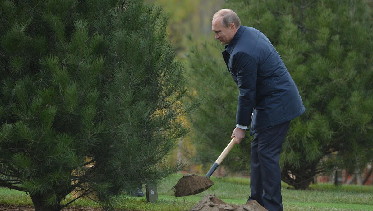 Ist Putin im Herzen ein Grüner? 
