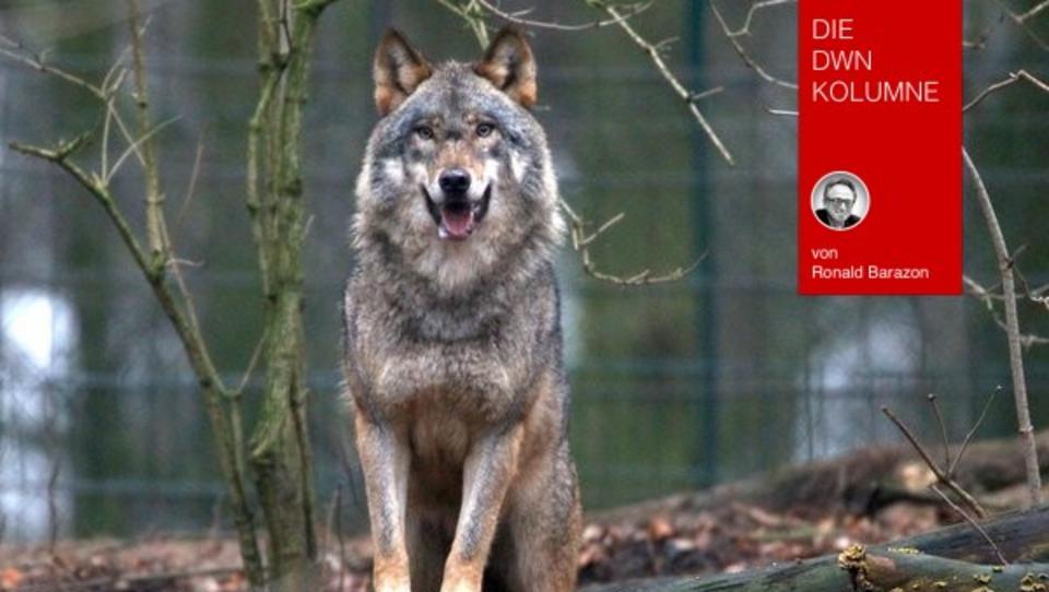 Die Angst lähmt und löst Panik aus: Finanzkrise, Klimawandel und nun Corona-Virus