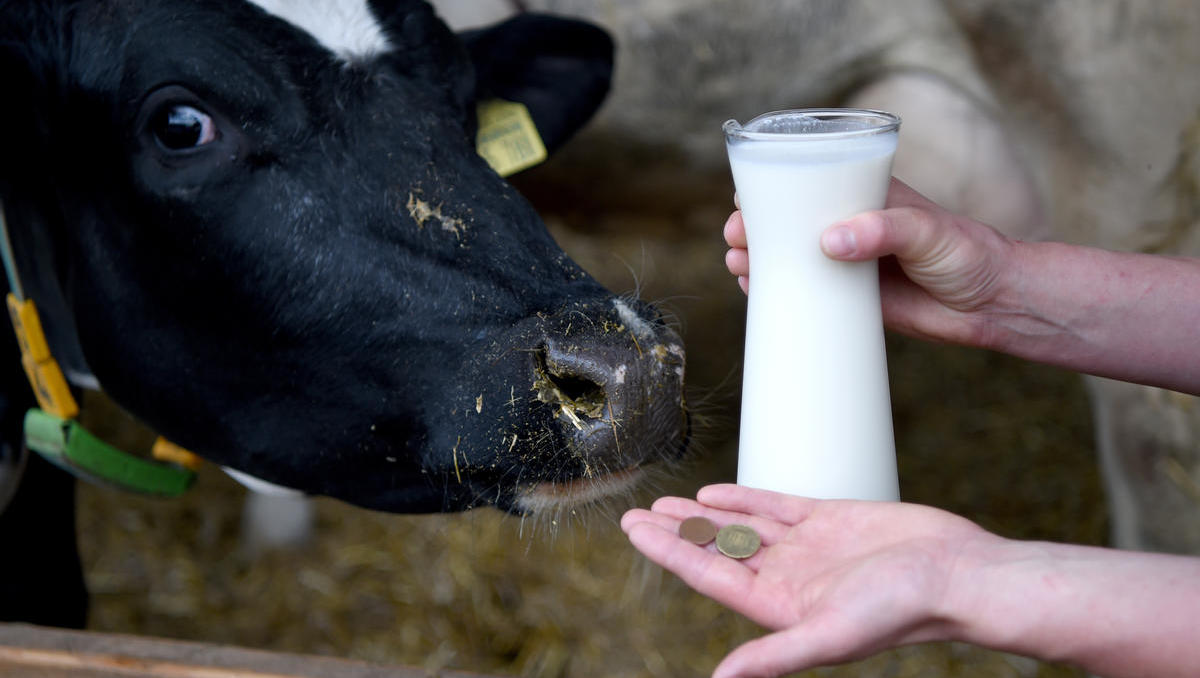 Der Milchmarkt: Die Preisschwankungen könnten eine Zeitenwende einläuten