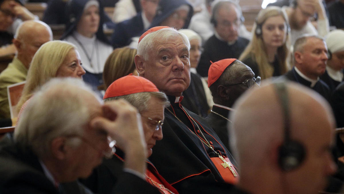 Kardinal Müller warnt vor Gleichschaltung und Überwachungsstaat