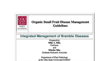 Novartis setzt auf Mikro-Chips zur Kontrolle bei Medikamenten Novartis setzt auf Mikro-Chips zur Kontrolle bei Medikamenten