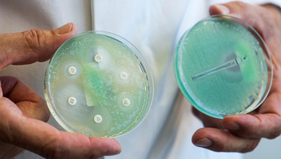 Künstliche Intelligenz entdeckt neues hoch wirksames Antibiotikum