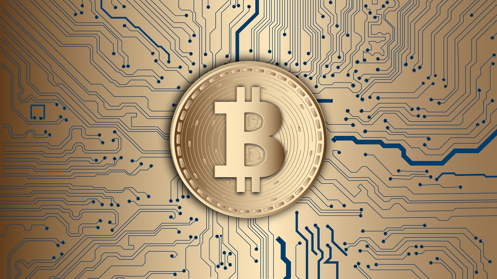 Bitcoin und Ethereum: wichtige Unterschiede einfach erklärt