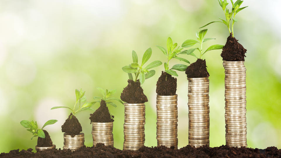 Impact Investing: Mit gutem Gewissen Geld verdienen