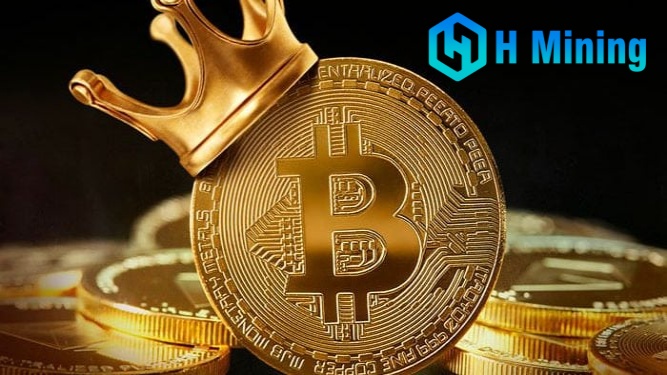 Genießen Sie Ihren ersten Bitcoin und beginnen Sie mit H Mining