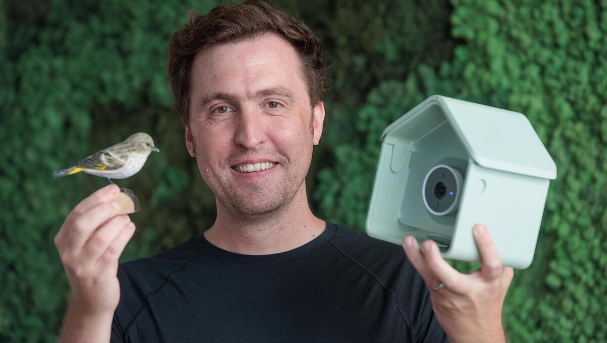 Vogelhaus mit Kamera: Wie Bird Buddy an Amerikaner vier Mal so teuer verkauft wie an Chinesen