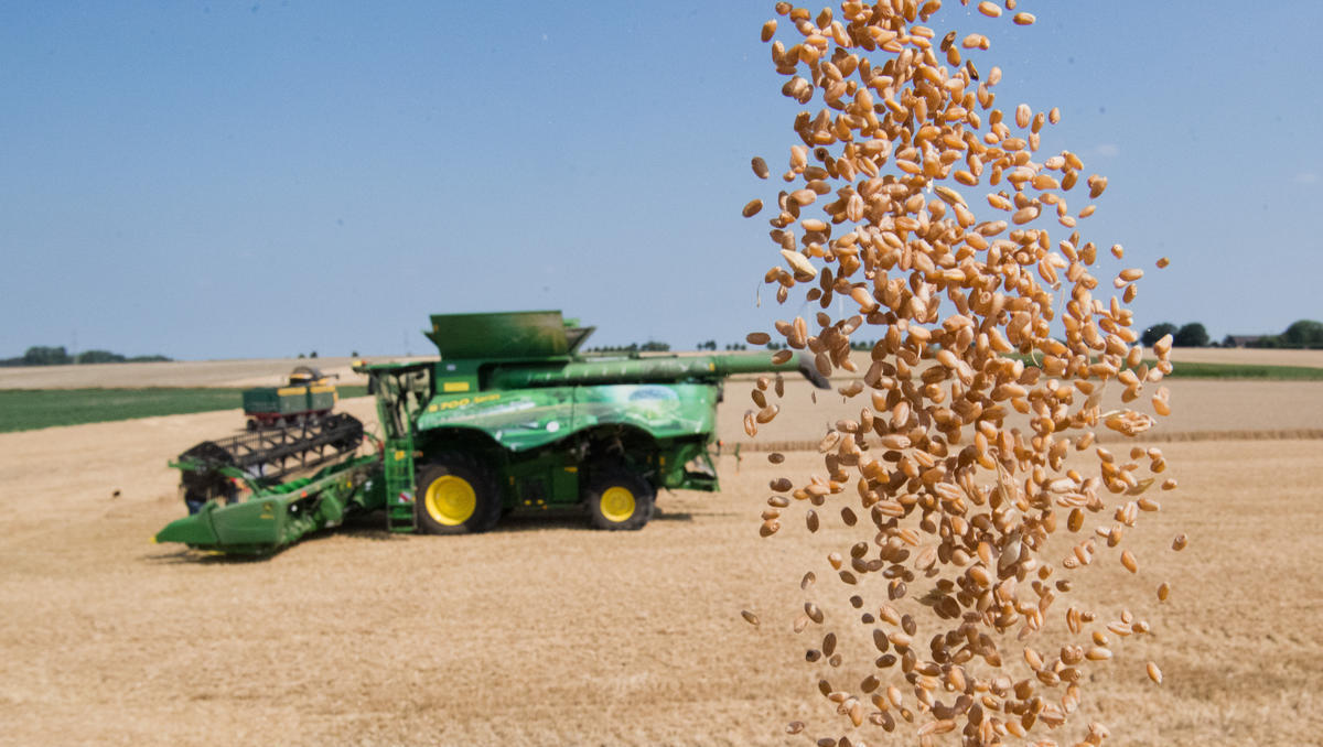Vorbereitung auf Hunger-Krise? Länder verhängen Export-Verbote für Getreide