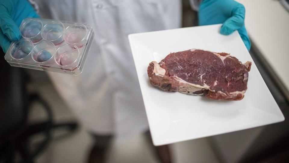 Erstes Land der Welt erlaubt Verkauf von künstlich erzeugtem Fleisch  
