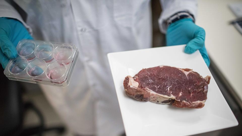 Öko-Organisation gegen Laborfleisch: „Great Reset enthält einen Plan zur Umgestaltung der menschlichen Ernährung“