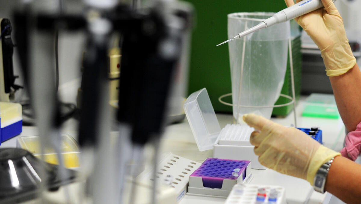 KI für Kliniken: SAP und Fresenius starten gemeinsame Gesundheitsinitiative