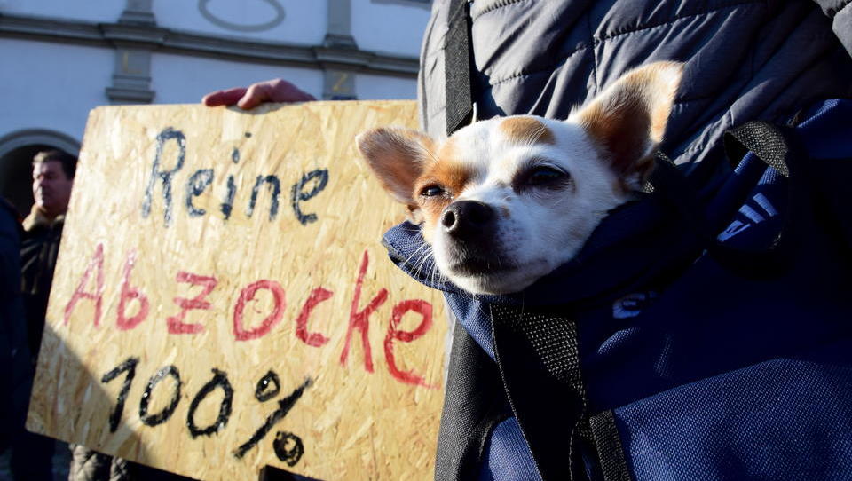 Wegen Hundesteuer: Gemeinde-Mitarbeiter spionierte Hundehalter auf Facebook aus