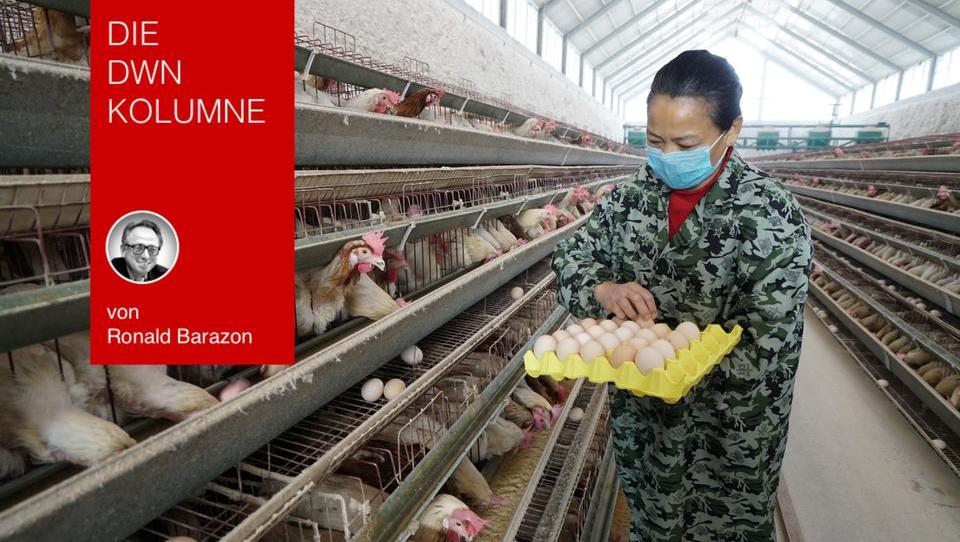 Die großen Viren-Epidemien kommen aus China: Ist der gewaltige Eier-Konsum der Grund?
