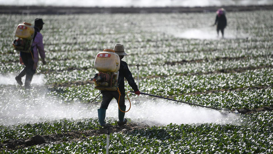 Grüne und Linke fordern Exportstopp für gefährliche Pestizide