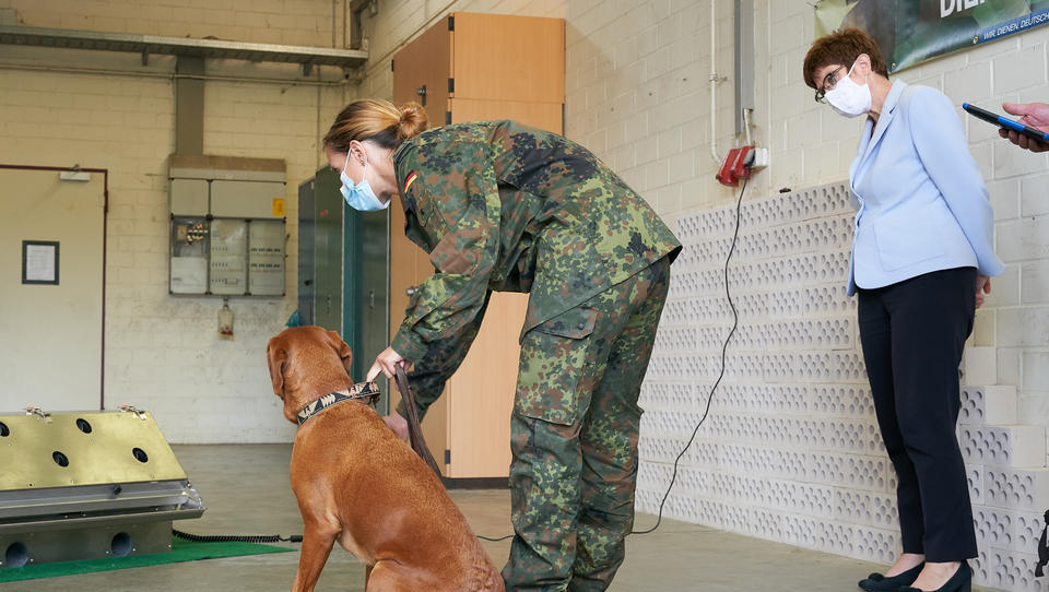 Bundeswehr bildet Hunde aus, um Corona-infizierte Menschen zu identifizieren
