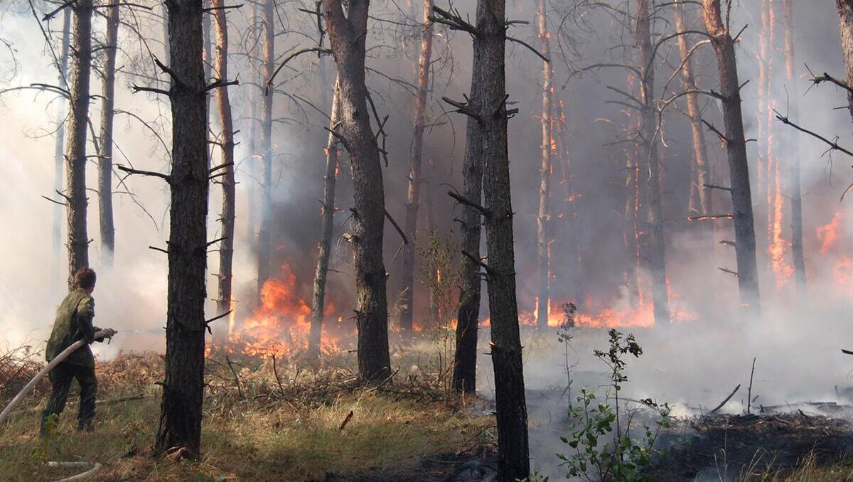 Ukraine-Krieg heizt Klimakrise an - 237 Millionen Tonnen CO₂
