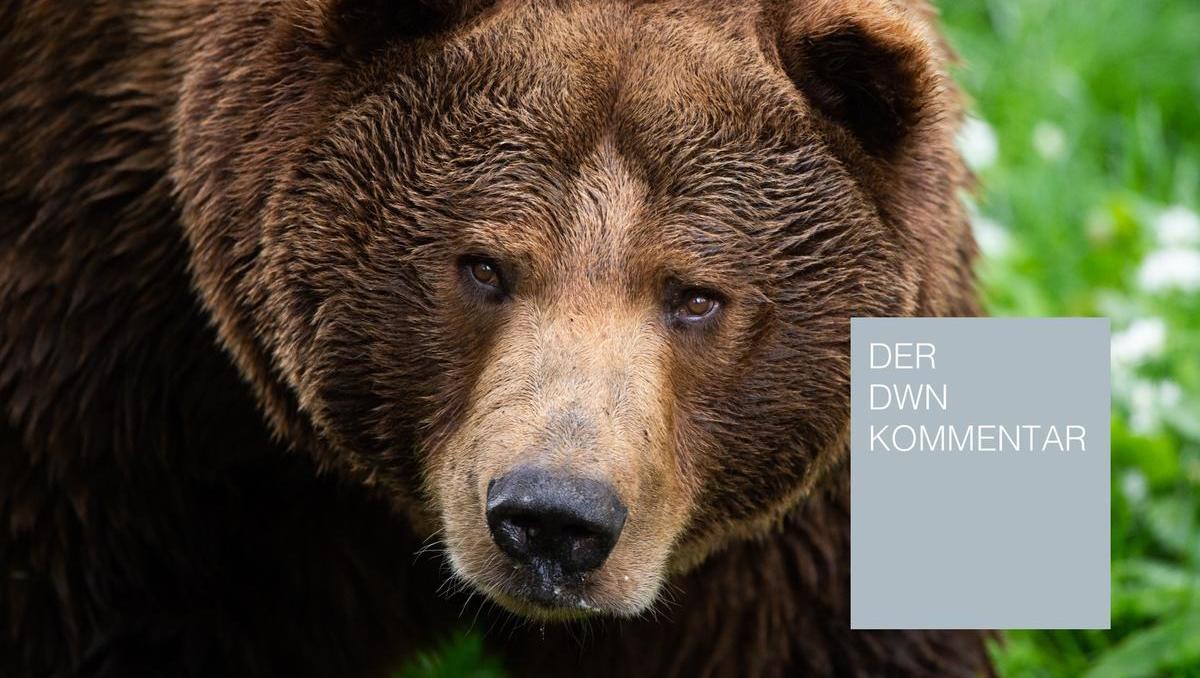 Der Tanz mit dem russischen Bären: Bernd Liske antwortet auf Hauke Rudolph 