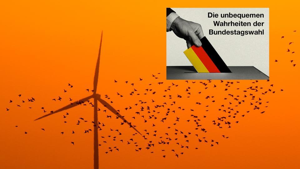 Bundestagswahl 2021: Platzt der Traum von der Energiewende? - TEIL 1 
