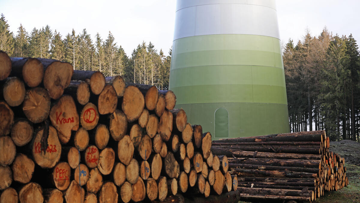 2025 baute Deutschland fast 1.000 neue Windräder an Land