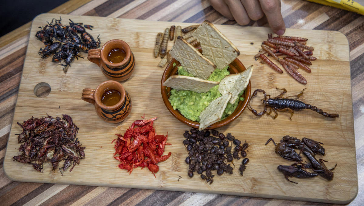 Müssen wir bald alle Insekten essen? Die harte, knackige, krabbelige Wahrheit!