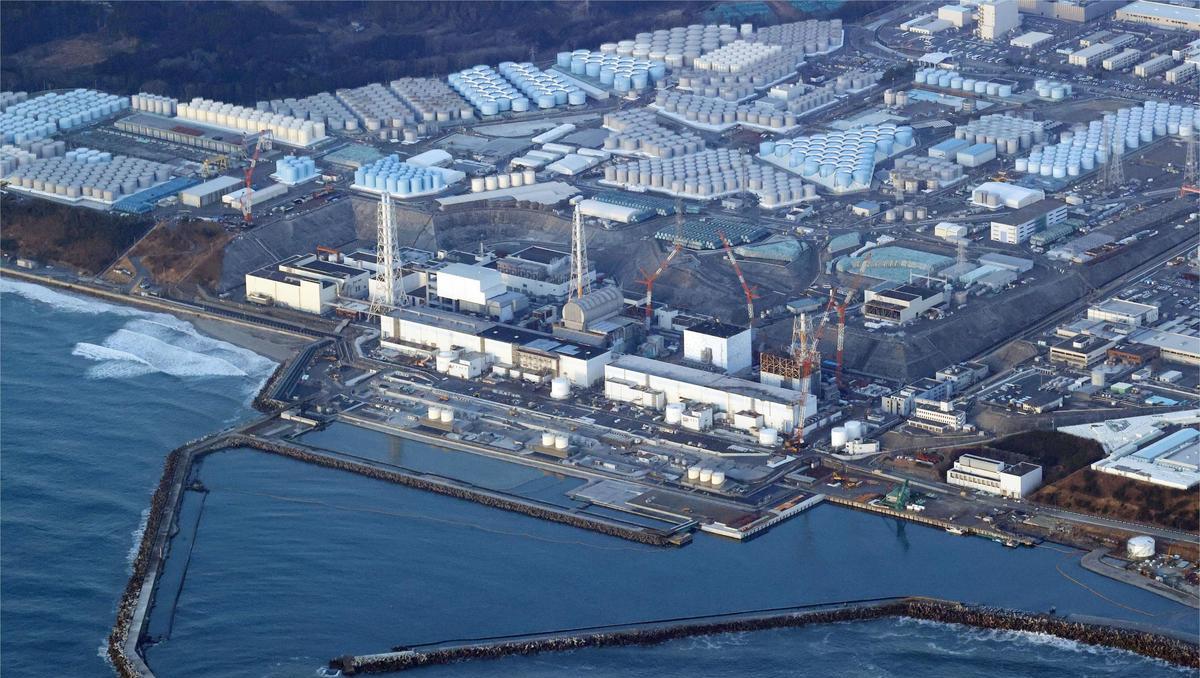 Fukuschima-Kühlwasser: Japan will Fisch und Meeresfrüchte  testen
