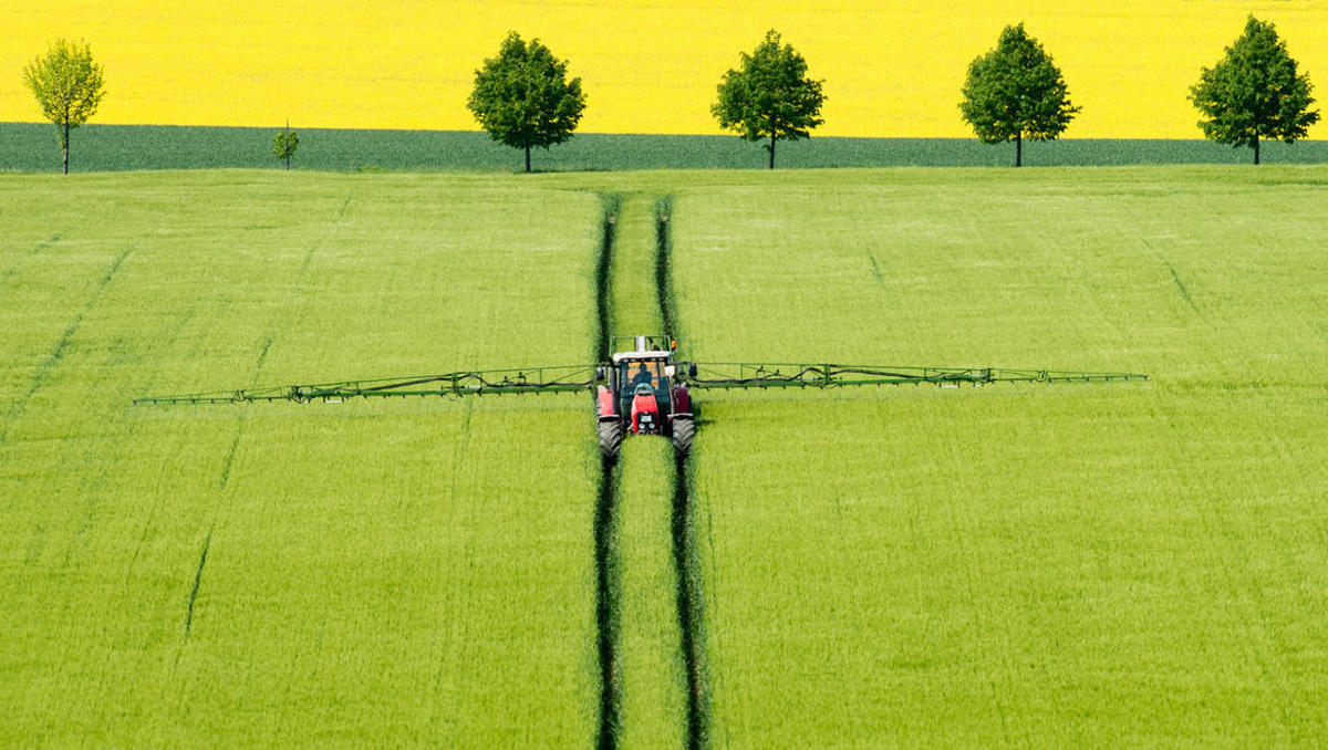 Gefahr durch Pestizide: Schwere Vorwürfe gegen Bayer und Syngenta