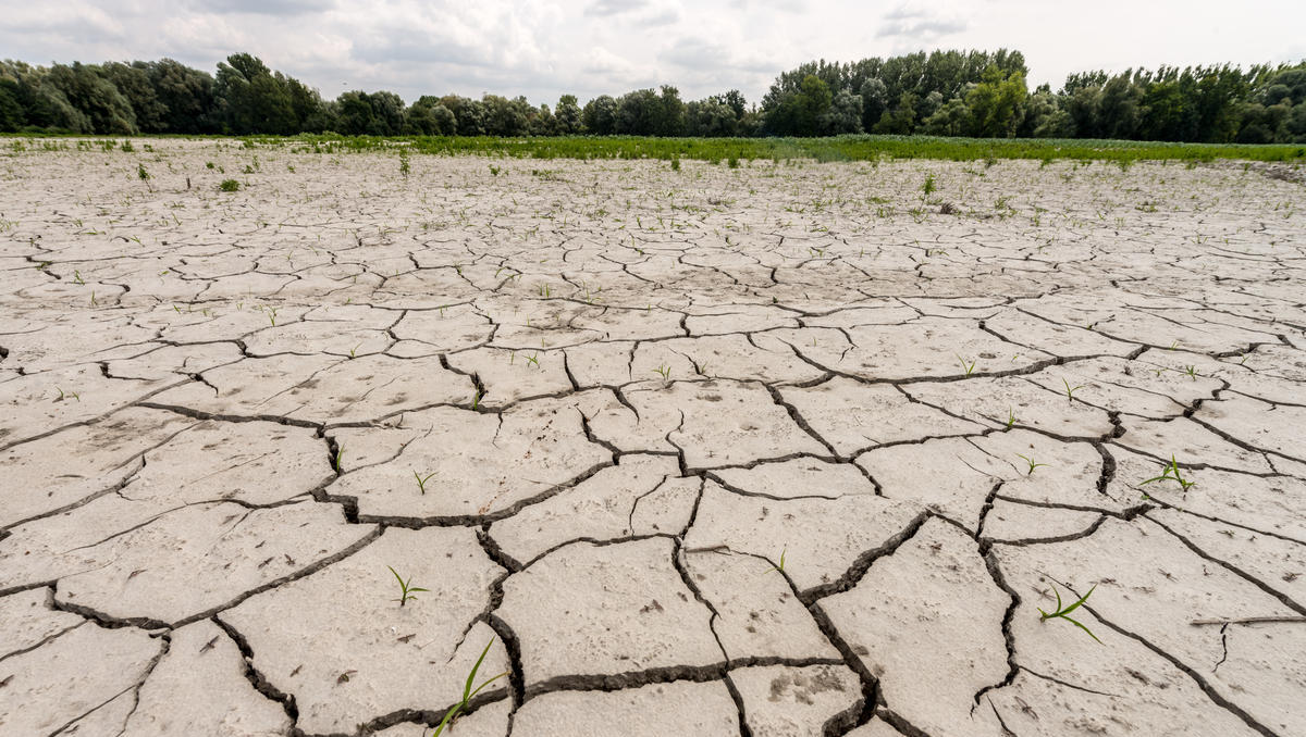 EU-Klimapolitik: Soviel Spielraum lässt das 90-Prozent-Ziel