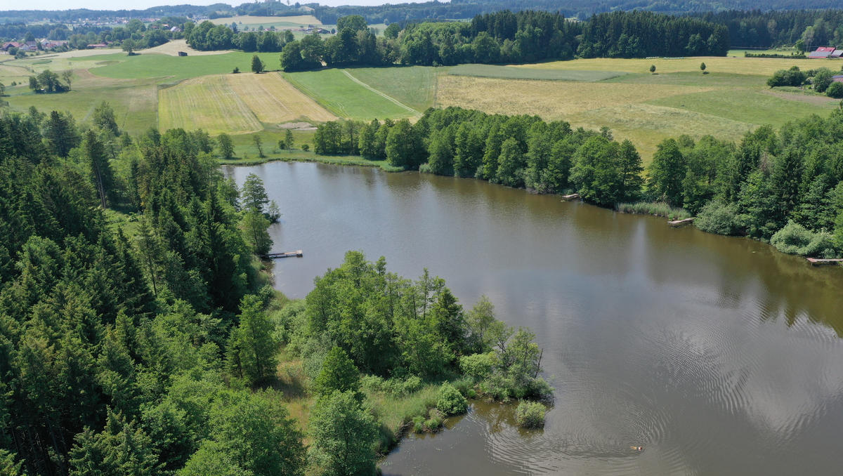 Europäische Gewässer in Gefahr: Klimawandel und Verschmutzung verschärfen die Wasserkrise