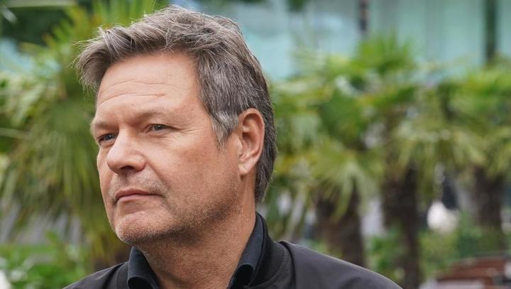 Habecks teuer erkaufte Erfolge