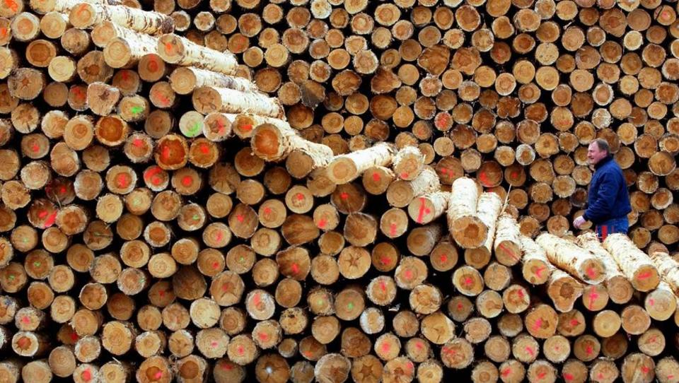 China kauft das deutsche Holz auf: Der Bau-Mittelstand steht vor dem Kollaps