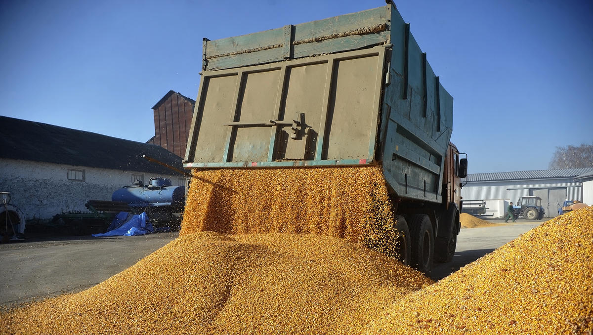 Ukraine droht EU-Nachbarn mit Klage wegen Getreide-Importstopps