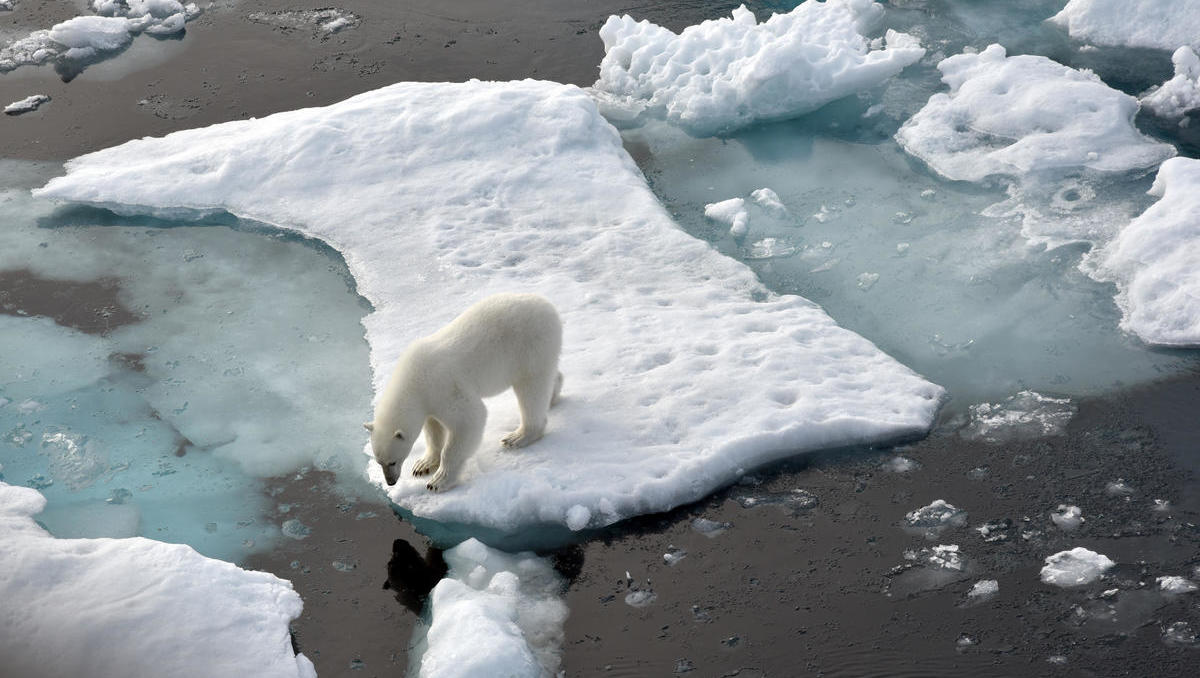 Klimawandel: 2024 wird das wärmste Jahr seit Beginn der Aufzeichnungen