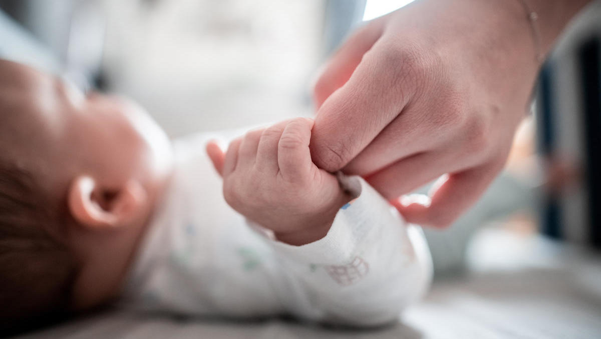 Dramatischer Geburtenknick: Deutschland gehen die Kinder aus, die Haustiere nicht - ein langfristiger Trend? 