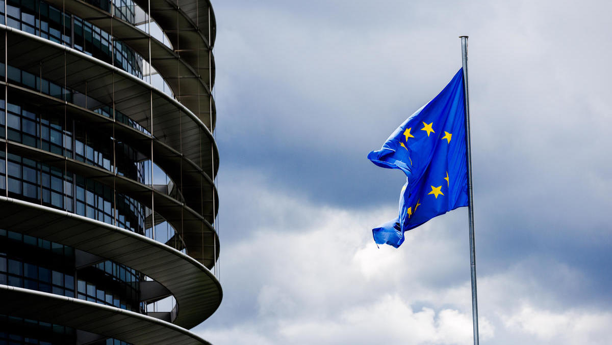 AfD verbündet sich im EU-Parlament: Eigenständige Fraktion am rechten Rand