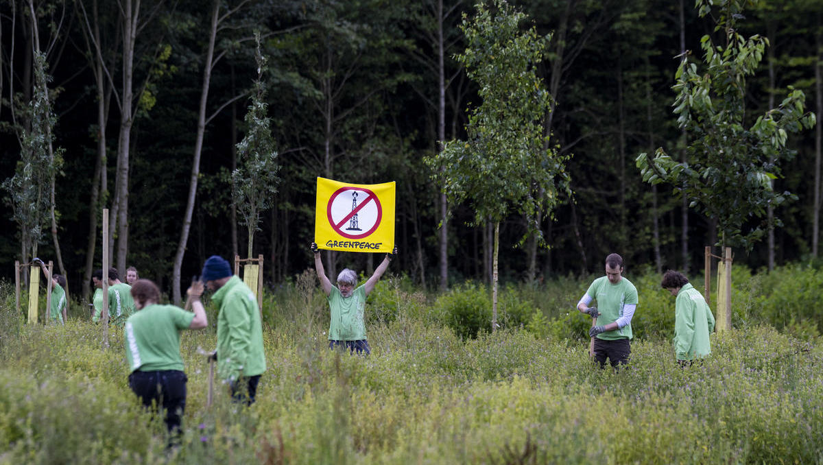 Bäume statt Bohrturm: Greenpeace-Protest gegen Erdgas-Drilling am Ammersee