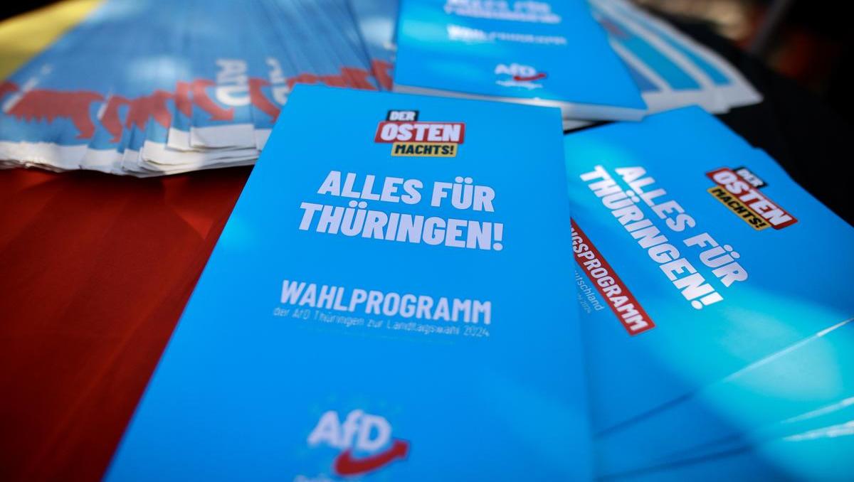 AfD mit 