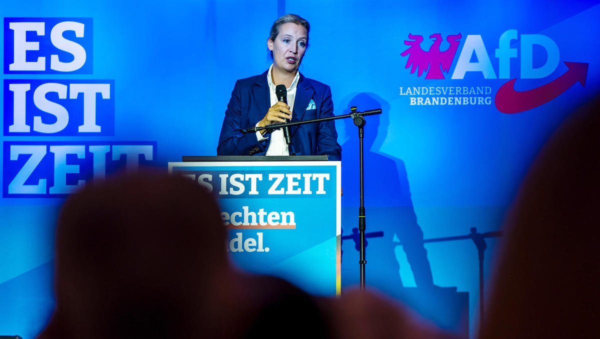 Brandenburg-Wahl: AfD und SPD kämpfen um den Sieg - und das politische Momentum