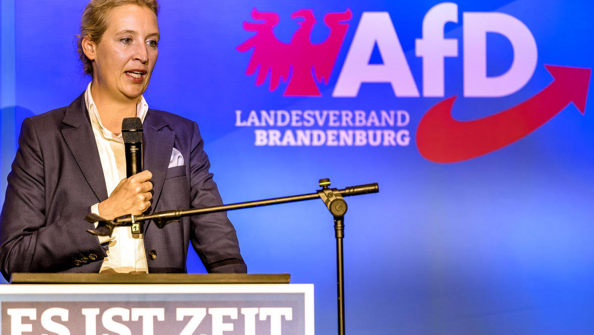 Landtagswahl Brandenburg: AfD gewinnt Jugendwahl 