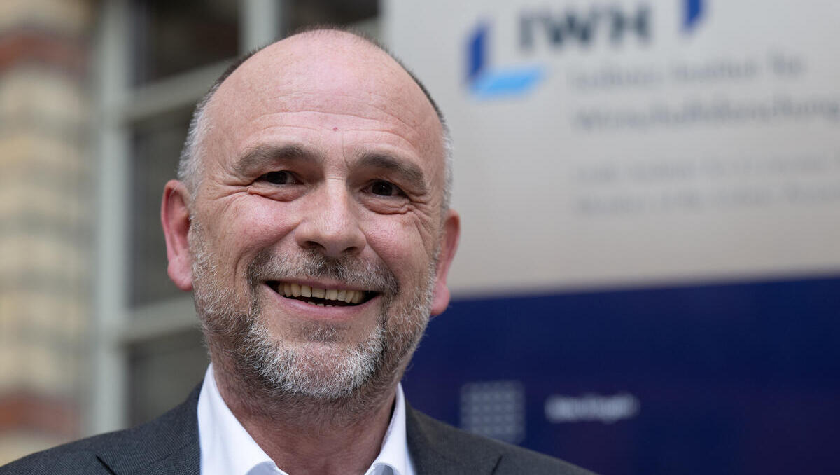 Sachsen-Anhalt: IWH-Präsident fürchtet um Wirtschaft bei AfD-Wahlsieg